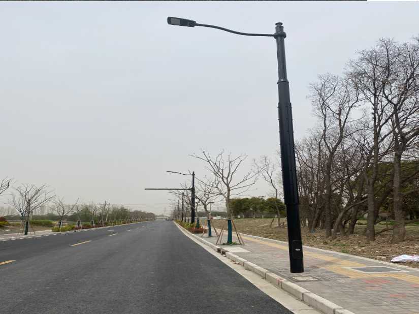 临清市上海综合杆 太阳能路灯工程